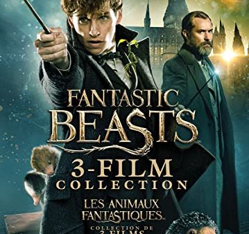 FANTASTIC BEASTS 3-FILM COLLECTION (BIL DVD) Online Sale